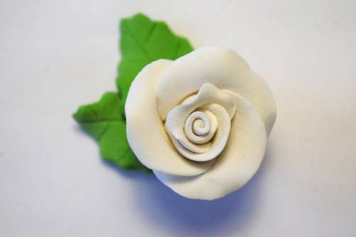 White Roses With Leaves - Click Image to Close
